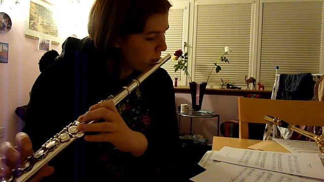 Inuyasha- Fukai Mori (Deep Forest)- Flute Cover смотреть онлайн