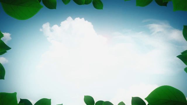 Veracruz Agropecuario 30 de agosto 2019 | Las Bromelias y sus usos смотреть онлайн