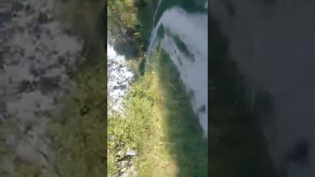 Полив люцерны смотреть онлайн