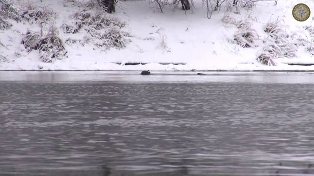 ПОДВОДНЫЕ НАХОДКИ. НОЖ И ЧЕЛОВЕЧЕСКИЕ КОСТИ