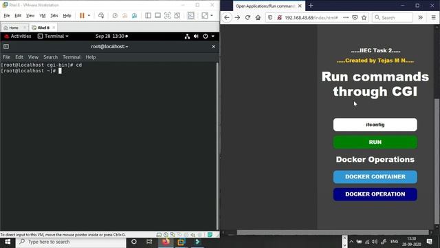 Python cgi web app to control remote server and run docker.. смотреть онлайн