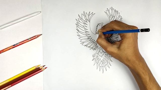 How to Draw a Phoenix I Phoenix Bird Drawing Tutorial смотреть онлайн