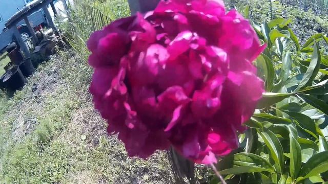 Обзор измельчителя ВИХРЬ/Копаем траншею под кабель