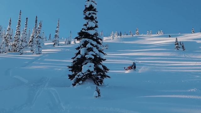 Дружеская катка. EP#260 смотреть онлайн