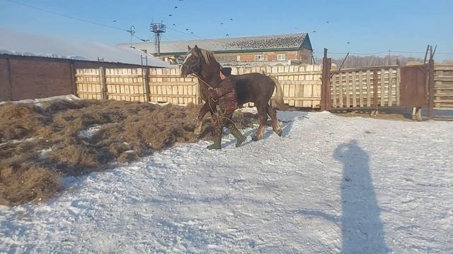 Советский тяжеловоз Рекрут 3года