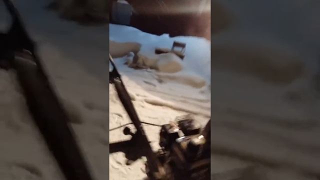 Champion ST656 смотреть онлайн