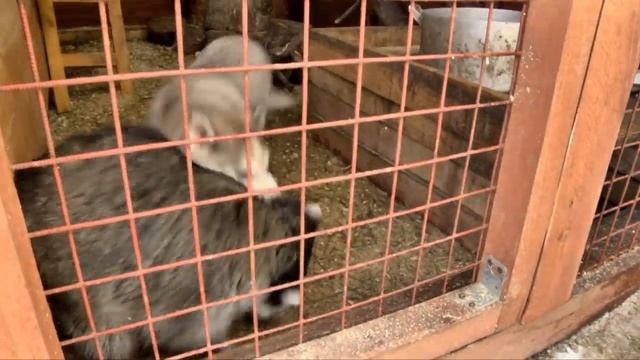Дворовые записки 10 смотреть онлайн