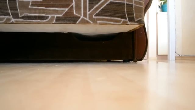 Хорек - вор. Скрытая камера.