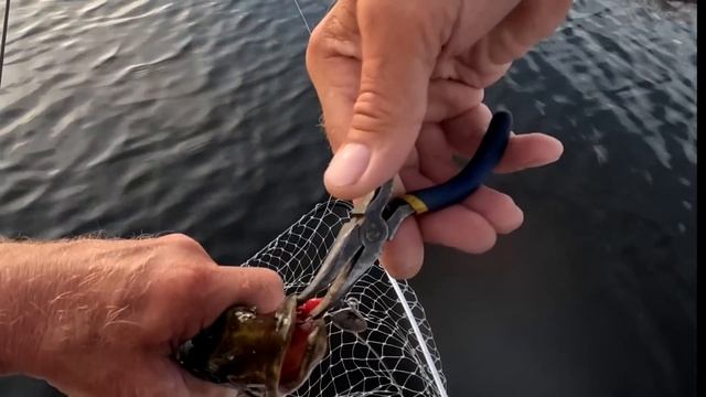 Рыбалка Без Эхолота В жару! Ловлю Щуку На спиннинг на ПРОСТУЮ ВЕРТУШКУ! смотреть онлайн