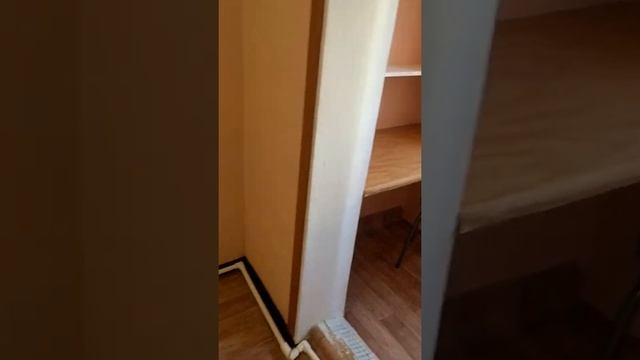 Рум-тур. Квартира под аренду. Севастополь. Парк Победы. смотреть онлайн