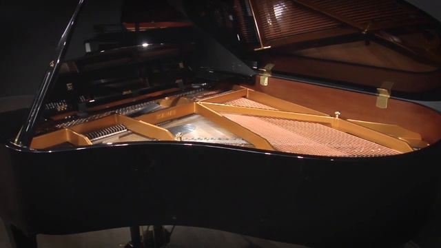 Kawai RX-2 5'10" Player Grand Piano PianoDisc iQ (#2618022) смотреть онлайн