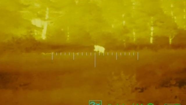 ARCHER TSA-640 Кабан в тумане смотреть онлайн