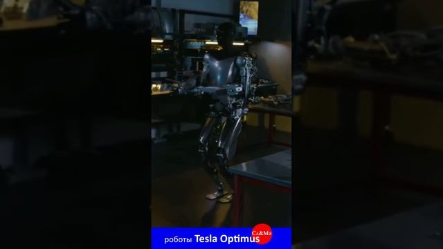 как размножаются человекоподобные роботы Tesla Optimus#shorts смотреть онлайн