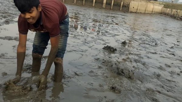 Searching Koi Fish After Raining | Smart boy's catch catfish underground crack mud water #CatFish