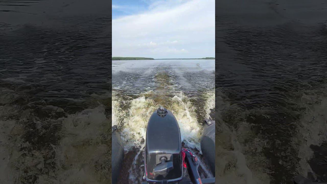 Катаемся по Волге в поисках жереха. #shortvideo #fishing #рыбалка #fishingvideo смотреть онлайн