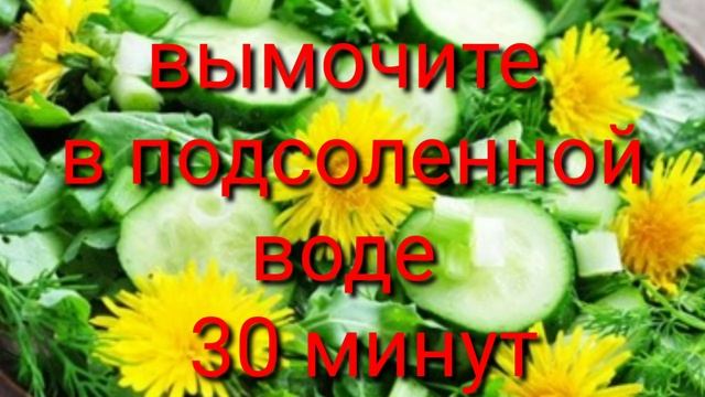 как устранить горечь из одуванчика? смотреть онлайн