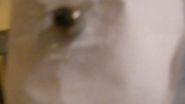 очиститель и увлажнитель воздуха смотреть онлайн