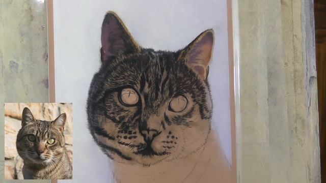 'Paint Along' Cat Demo in Soft Pastel PART 1 смотреть онлайн