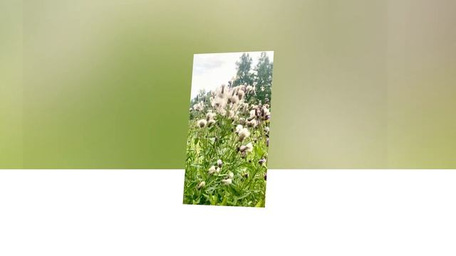 На небесах живут родные души смотреть онлайн