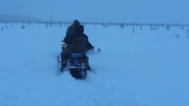Самодельный снегоход по целине на болоте смотреть онлайн