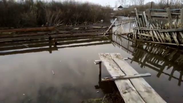 #ОПОРОС#ОПОРОС СВИНОМАТКИ ВТОРОЙ РАЗ. смотреть онлайн