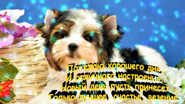 Открытка с добрым днём! Видео открытка с музыкой и пожеланиями доброго дня! смотреть онлайн