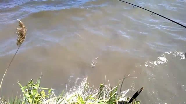 обеденный перерыв - рыбалка смотреть онлайн