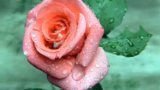 Поль Де Сенневиль Marriage смотреть онлайн