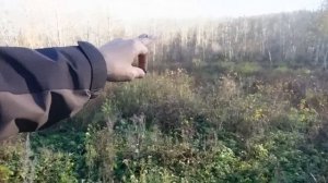 ПОВАЛИЛИСЬ МОНЕТЫ, КОГДА КОПНУЛ ЛОПАТОЙ. Коп поиск монет 2023