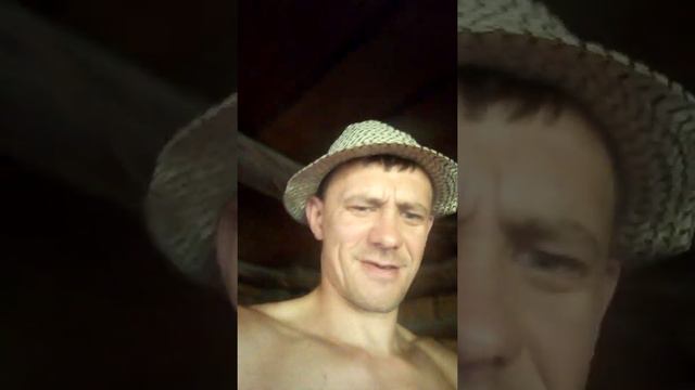 Несушки доминанты, первое яйцо в 4 месяца смотреть онлайн