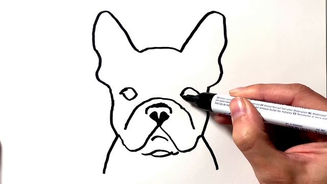How to Draw a French Bulldog смотреть онлайн