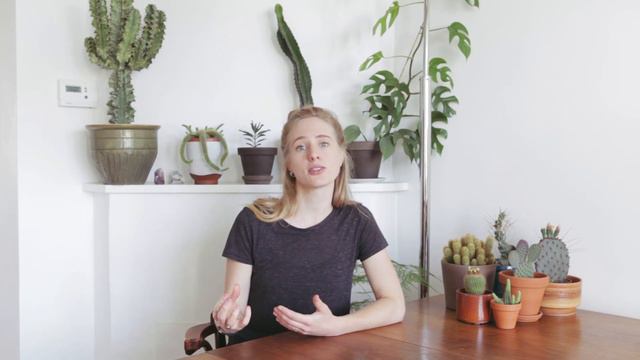 Cactus Basics: Licht смотреть онлайн