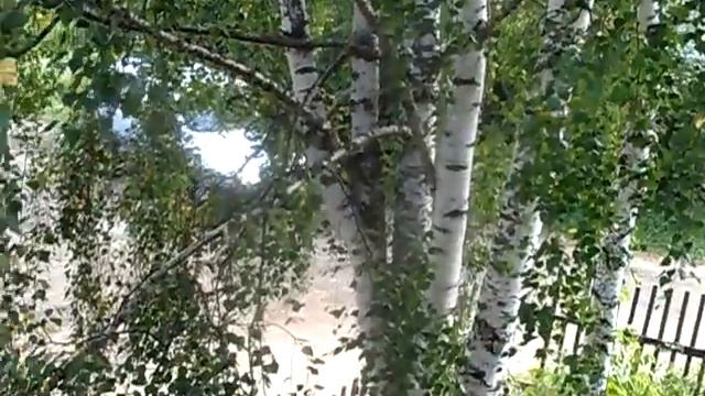 Сын и Дочь едут на работу. Водители АВТО. Девушка за рулем #3 смотреть онлайн