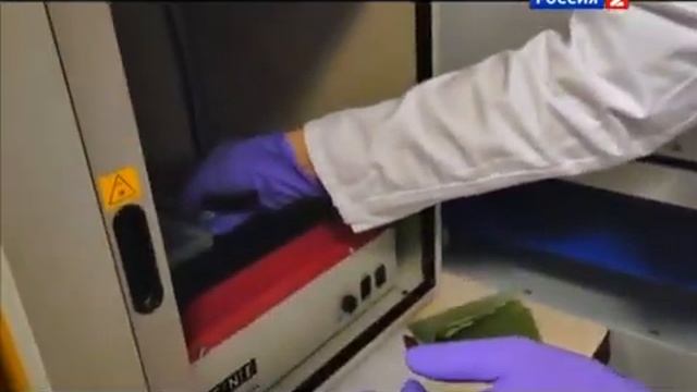 Вопрос времени. ДНК: досье на клетку смотреть онлайн