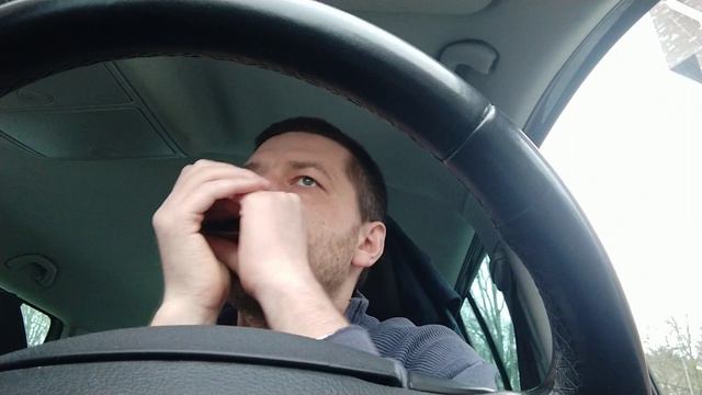 По диким степям Забайкалья ♫ на губной гармошке смотреть онлайн