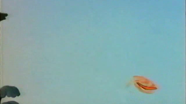 Disney - Magic English 16 - The Forest - LPDM