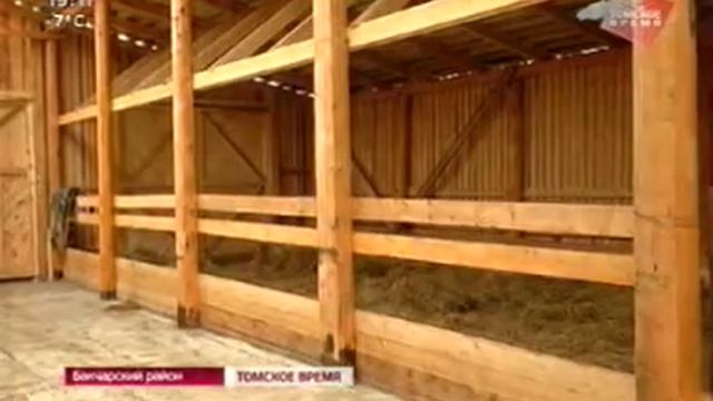 В селе Бакчар построена семейная ферма на 200 голов коров породы герефорд смотреть онлайн