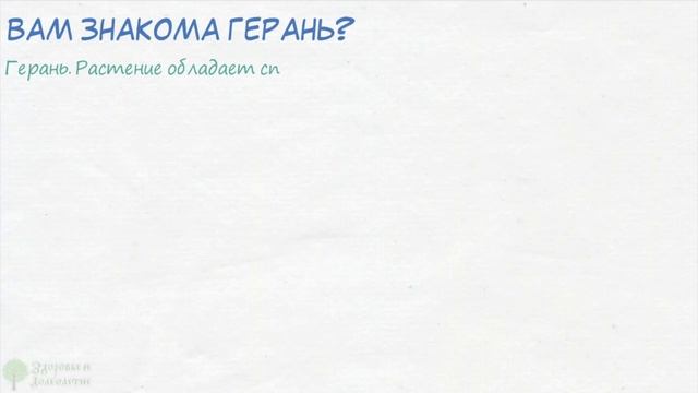 НЕВЕРОЯТНО! 7 обычных комнатных растений заменят Вам аптечку!