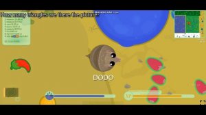 More.io. Браузерная игра  — мопио, для детей 5-7 лет.