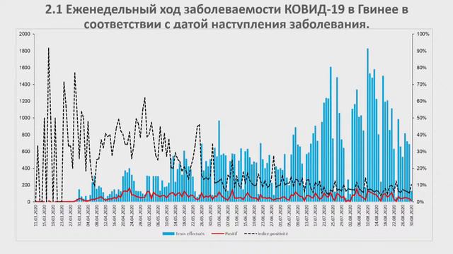 Специальная панельная сессия Опыт и перспективы российско-гвинейского сотрудничества смотреть онлайн