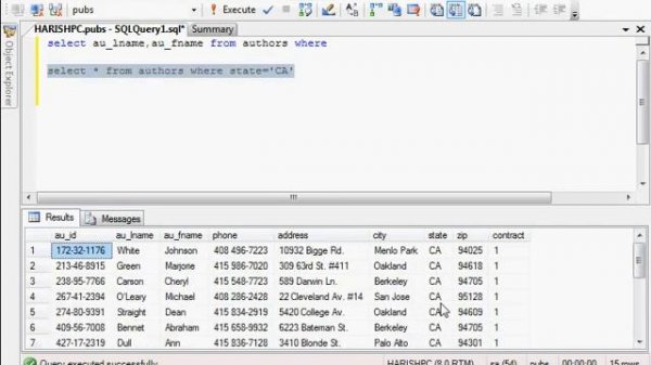 4   Microsoft SQL server tutorial: Sql Server Management studio express and select query