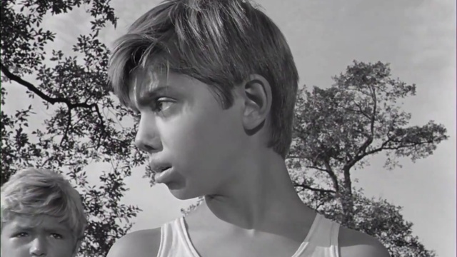 07.Крапива смотреть онлайн