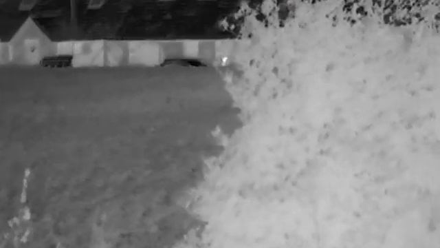 FOX ON HIKMICRO LYNX LH19 THERMAL FIRST VIDEO (0051) смотреть онлайн