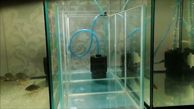 Обзор моих аквариумов смотреть онлайн