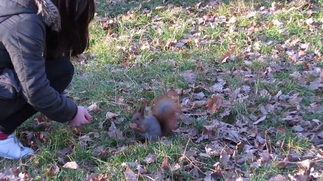 Я испугалась Белки)))) хихих смотреть онлайн