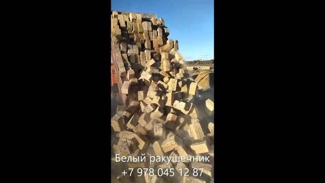Выгрузка белого камня ракушняка смотреть онлайн