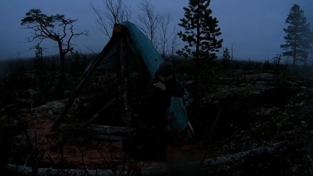 БУШКРАФТ В ЛЕСУ. СТРОЮ УБЕЖИЩЕ В ТАЙГЕ. смотреть онлайн