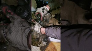 стуки при трогании при отпускании сцепления .Хундай Акцент тагаз МКПП . Дифференциал