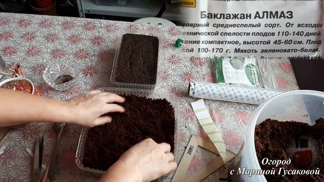 Посев Семян на Рассаду двумя способами. Выращивание перца и баклажан рассадой / с Мариной Гусаковой смотреть онлайн