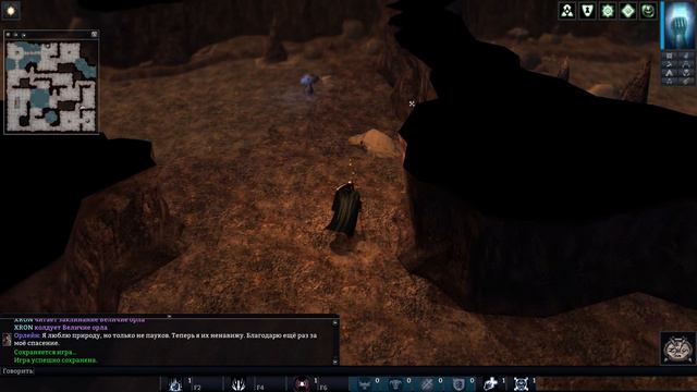 Neverwinter Nights EE | Паладин | Лес Невервинтер Паучья пещера Дом Нимфы | 38 смотреть онлайн